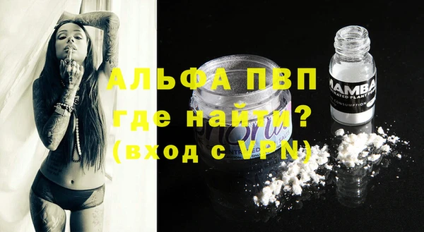 стафф Заволжск