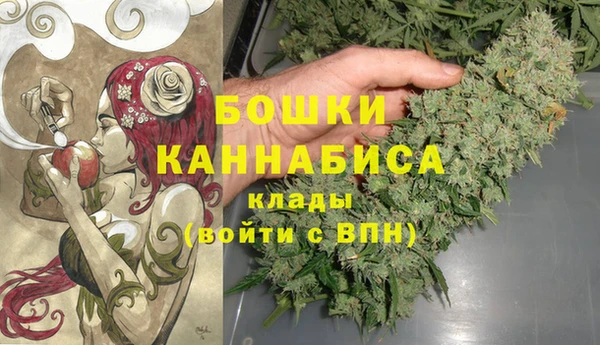стафф Заволжск