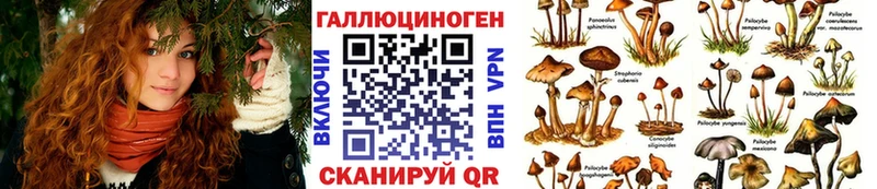 Псилоцибиновые грибы ЛСД  Купить  Нерчинск 